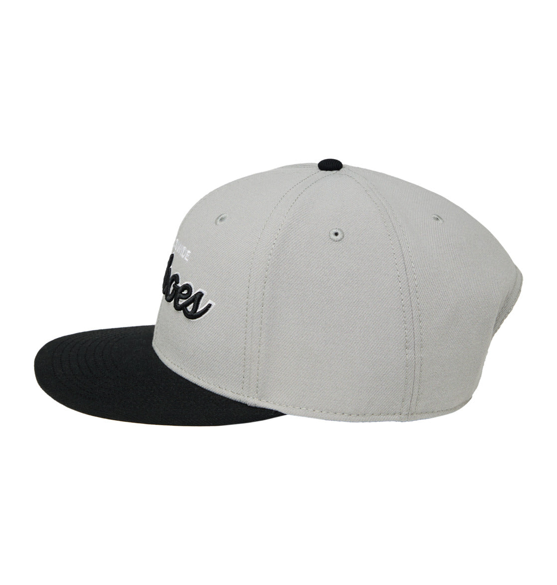 Mens Tailgate Snapback Cap - DC Shoes Singapore